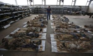 Exhumerade kvarlevor av mördade Bosniaker och Kroater i Tomasica